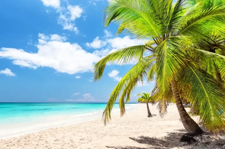 The Rich History Of The Caribbean